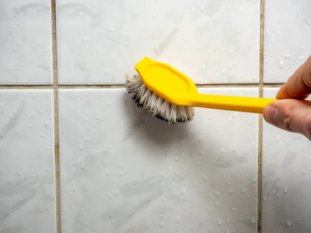 Best Certified Mold Removal  in Wauconda, IL