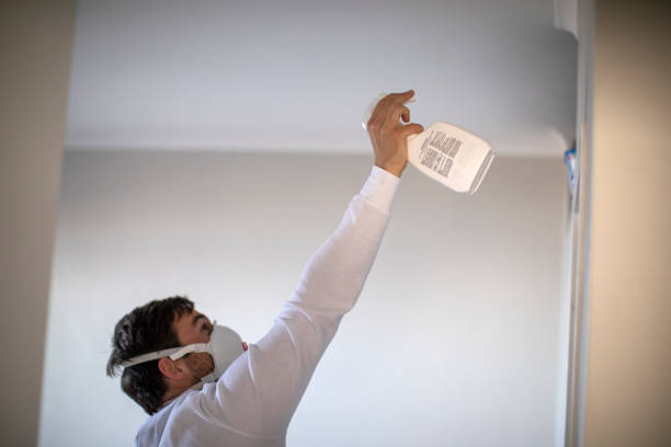 Best Professional Mold Removal  in Wauconda, IL