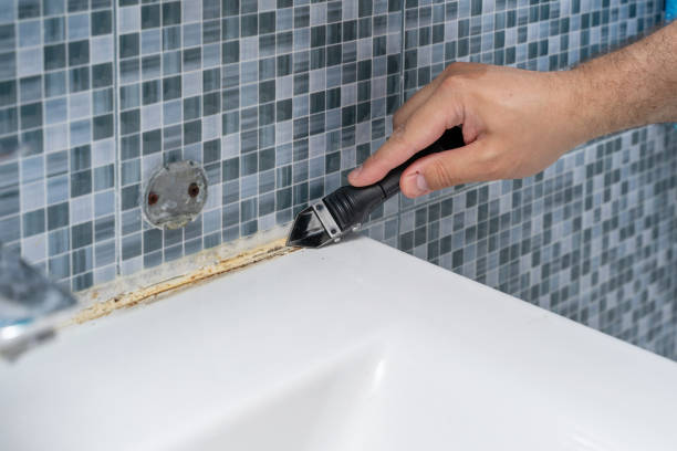 Certified Mold Removal in Wauconda, IL